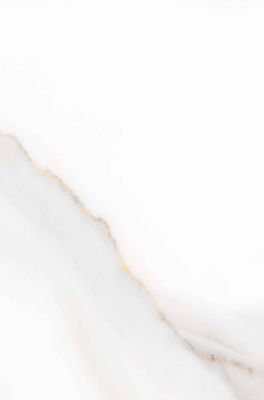 Calacatta - Gold - Gloss