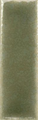 Skin - Gloss - Moss