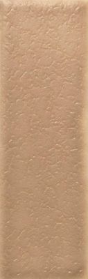 Skin - Matt - Biscuit