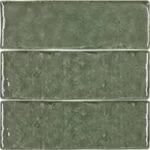 Terra - Moss 5x15cm