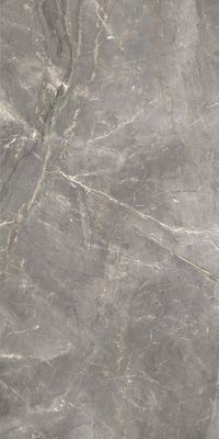 Marmi Pregiati  - Silver - Polish