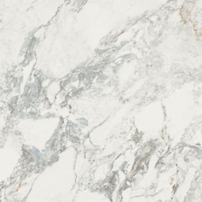 Iguana -  White Matt