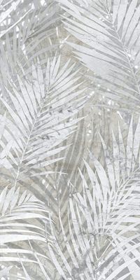 Natura - Felci - Grigio