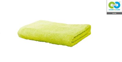Clarysse - Green - Single Hand Towel