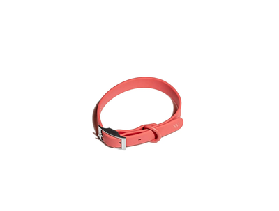 Wild One Dog Collar Red - Small