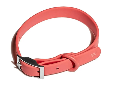 Wild One Dog Collar Red - Medium