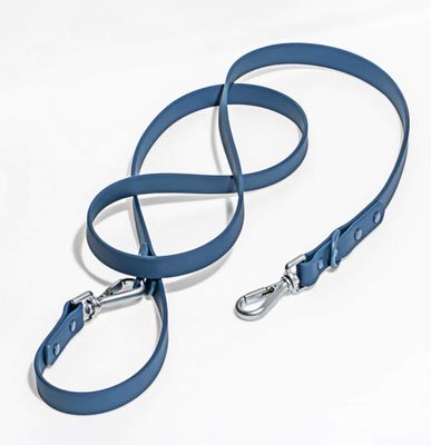Wild One Wide Dog Leash, Blue