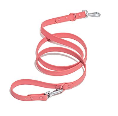 Wild One Wide Dog Leash, Red