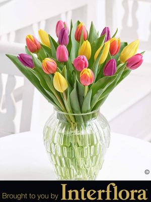Tulip Delight Vase