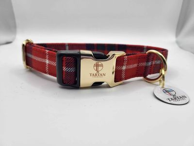 Fraser Modern Tartan