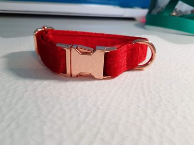 Red Velvet Collar
