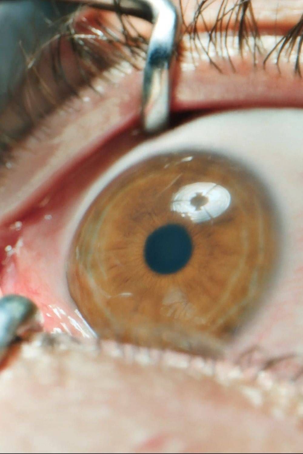   'THE HOME' – A Chilling Thriller from the Creator of The Purge