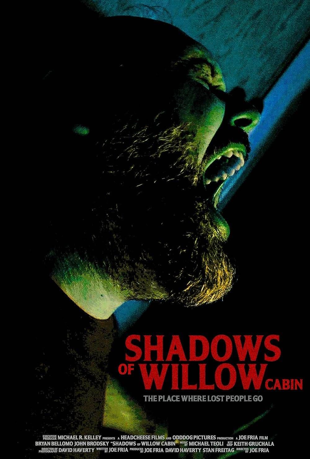 Shadows of Willow Cabin film poster