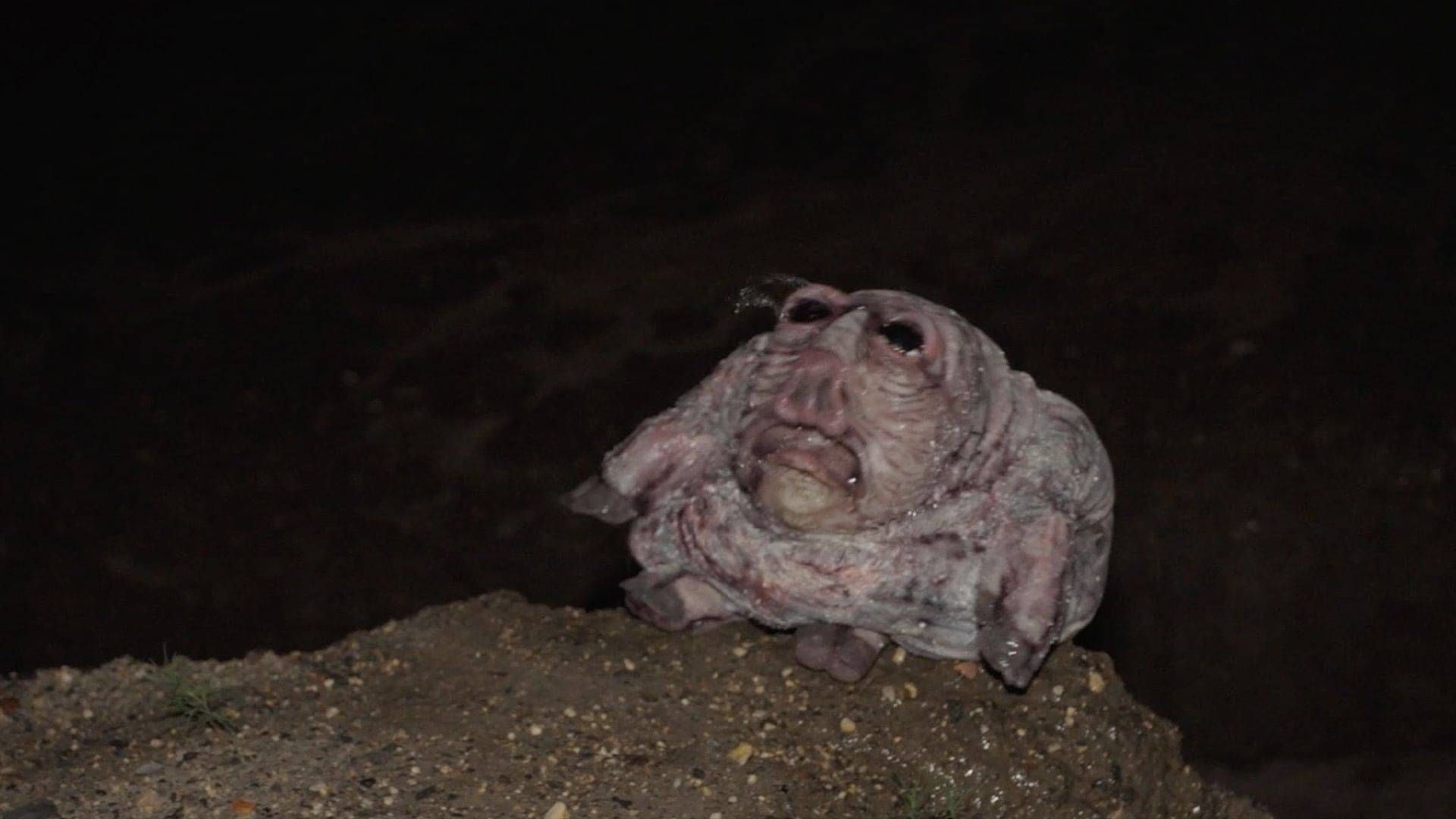 FROGMAN RETURNS found footage cryptid horror teaser at Tubi FrightFest 2026