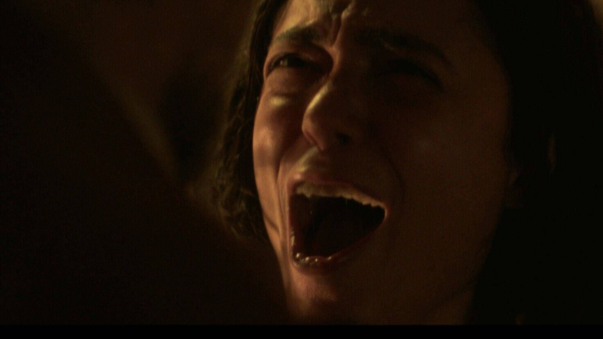 THE FLESH ITSELF - frightfest 2026