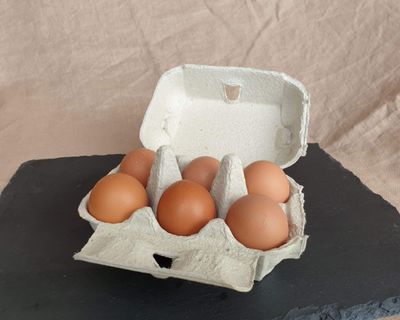 Pasture Raised Pullet Eggs