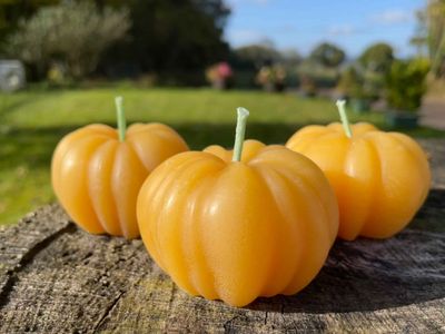 3 x Pumpkin candle&rsquo;s