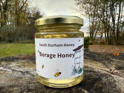 Borage Honey 240g