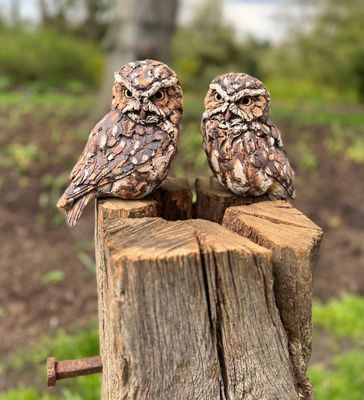 Little Owl Pair on tall post (may be ordered )