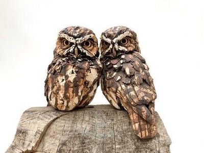 Little Owl - Pair (to Order)