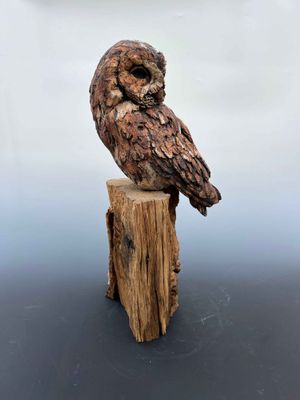 A Tawny Owl  Sculpture 1
