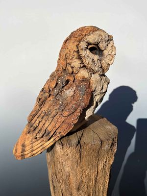 Barn Owl - Sculpture