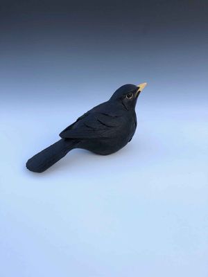 Blackbird unmounted 3a