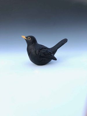 Blackbird  4a