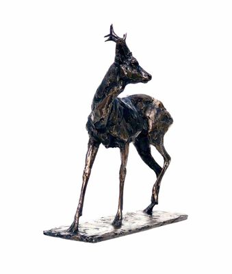 Deer, roe deer, Buck in foundry bronze, edition no 3 of  24