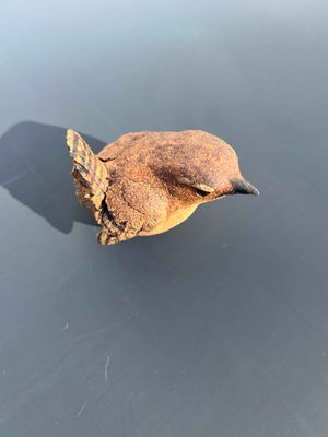 A  Jenny Wren  21