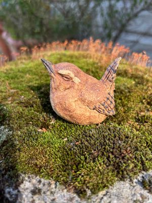 A Jenny Wren 1