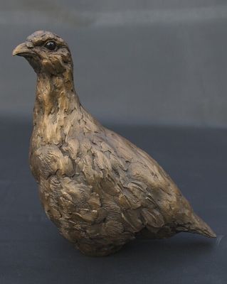 Partridge, Male in cold cast bronze