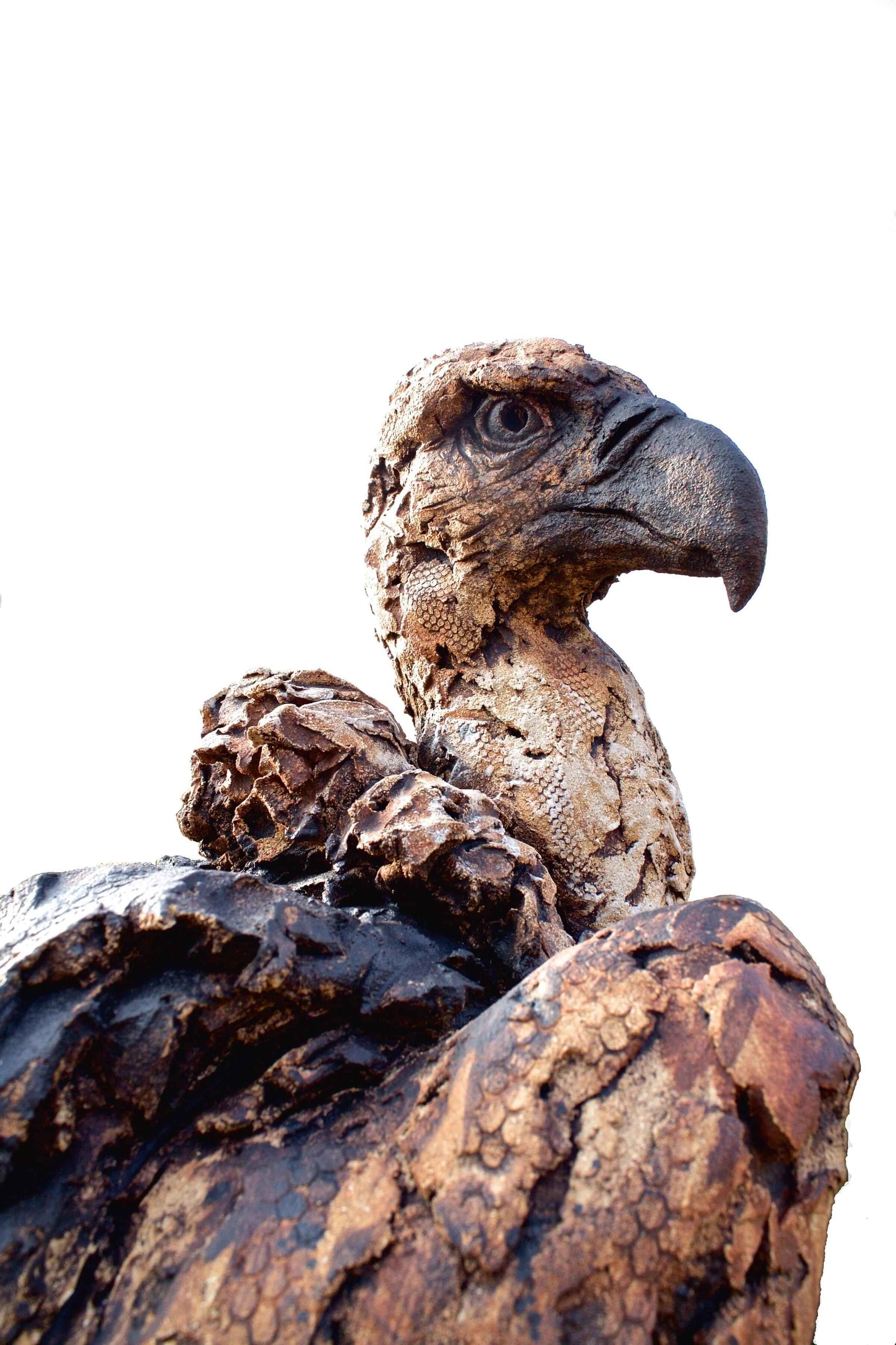 Vulture Sculpture