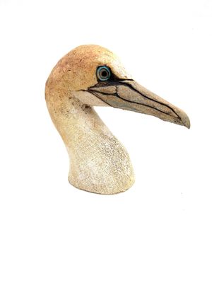 Gannet Portrait Sculpture short 1