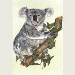Rolfie the Koala Print