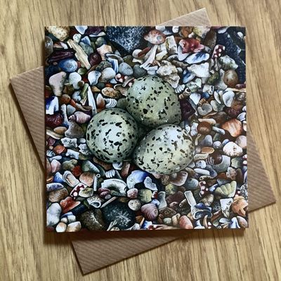 Beach Babes (Eggs &amp; Shells) Greetings Card