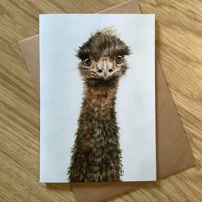 Eddy the Emu Greetings Card