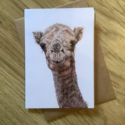Jameela the Camel Greetings Card