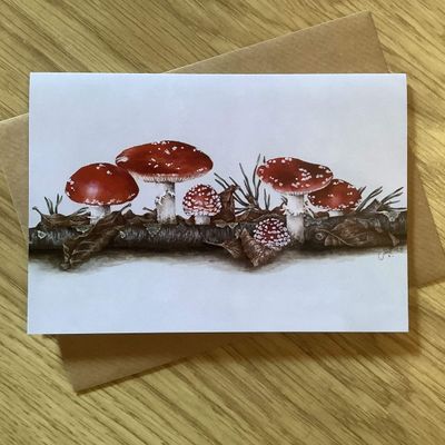 Magical Fly Agaric Toadstools Greetings Card