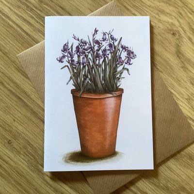 Pot of Bluebells Greetings Card