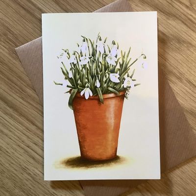 Pot of Snowdrops Greetings Card