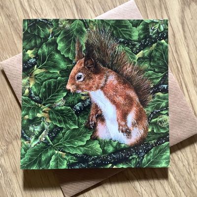 Red Squirrel Nutkin Greetings Card