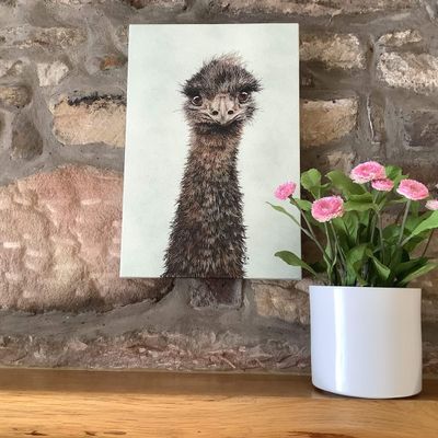Eddy the Emu Canvas Print