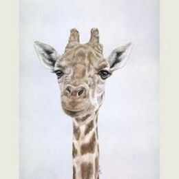 Gerald the Giraffe Canvas Print