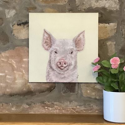 Truffle the Little Pink Piggie Canvas Print