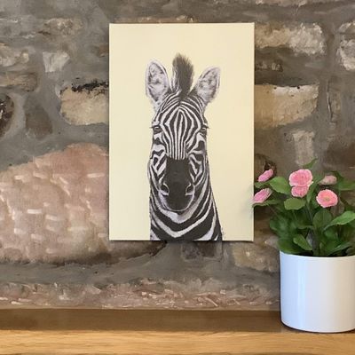 Zoe the Zebra Canvas Print