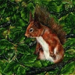 *SOLD* Red Squirrel Nutkin Original Painting