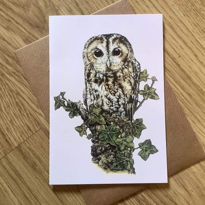 Tawny Owl Greetings Card