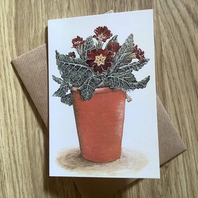 Pot of Primulas Greetings Card