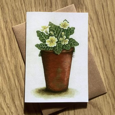 Pot of Primroses Greetings Card